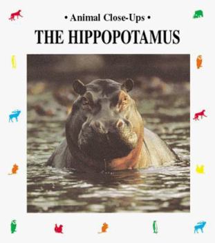 Paperback The Hippopotamus, River Horse Book