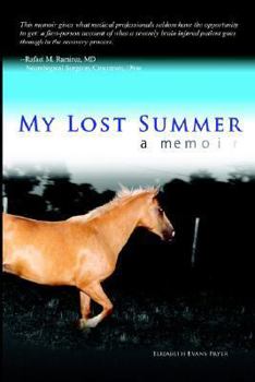 Paperback My Lost Summer Book