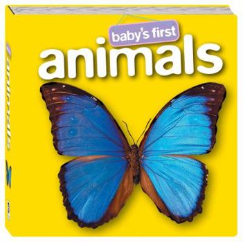 Board book Baby's First Animals Book