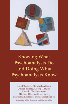 Paperback Knowing What Psychoanalysts Do and Doing What Psychoanalysts Know Book