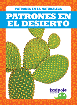 Library Binding Patrones En El Desierto (Patterns in the Desert) [Spanish] Book