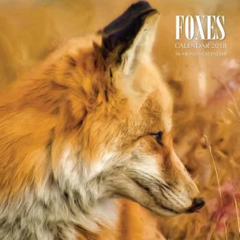 Paperback Foxes Calendar 2018: 16 Month Calendar Book