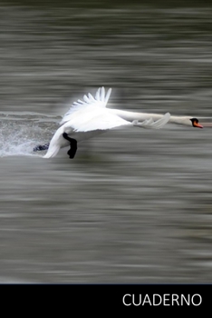 Cuaderno: Cuaderno Cisne, Cisne Libro, El Libro De Niños Cisne Cuaderno / Diario / Libro de escritura / Notas - 6 x 9 pulgadas (15.24 x 22.86 cm), 150 páginas, superficie brillante. (Spanish Edition)