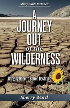 Paperback A Journey Out of the Wilderness: Bringing Hope to Barren Destinies (Wilderness to Promised Land) Book