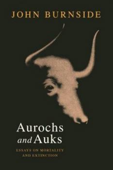 Hardcover Aurochs and Auks: Essays on mortality and extinction [German] Book