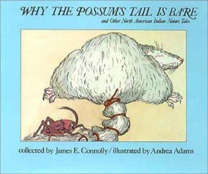 Hardcover Why Possums Tail Is Bare Book