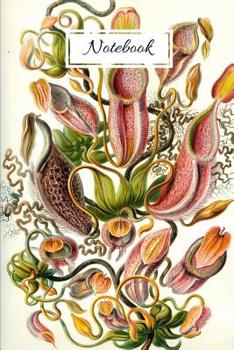 Paperback Notebook: Vintage Nature Journal Featuring Pitcher Plants By Haeckel (6 x 9 Lined Notebook, 110 pages) Book