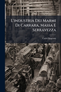 Paperback L'industria Dei Marmi Di Carrara, Massa E Serravezza: Studio [Italian] Book