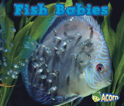 Fish Babies - Book  of the Animal Babies