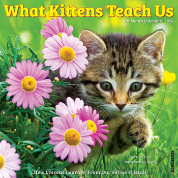 Calendar What Kittens Teach Us 2024 12 X 12 Wall Calendar Book