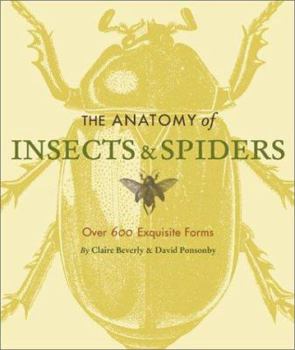 Paperback The Anatomy of Insects & Spiders: Over 600 Exquisite Forms Book
