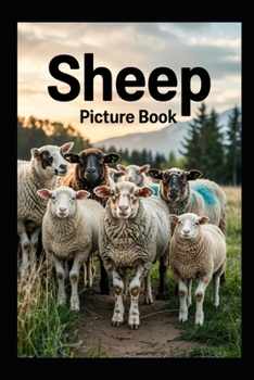 Paperback Sheep Picture Book