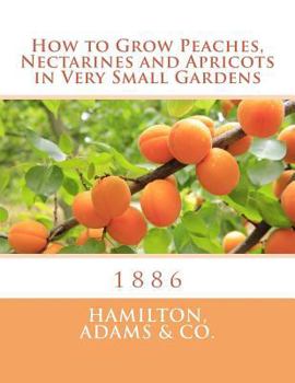 Paperback How to Grow Peaches, Nectarines and Apricots in Very Small Gardens: 1886 Book