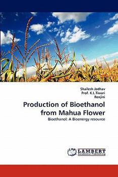 Paperback Production of Bioethanol from Mahua Flower Book