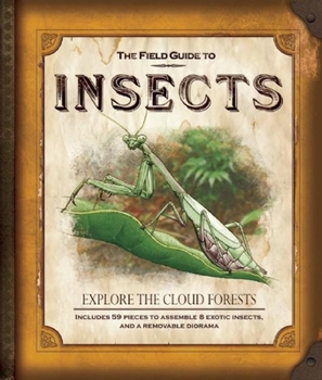 Hardcover The Field Guide to Insects: Explore the Cloud Forests [With Diorama and Punch-Out(s)] Book