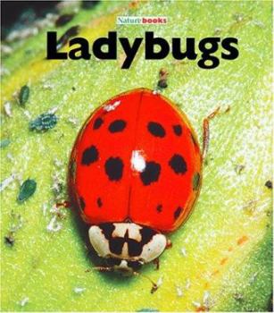 Library Binding Ladybugs Book