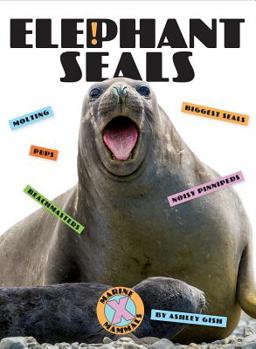 Library Binding Elephant Seals Book