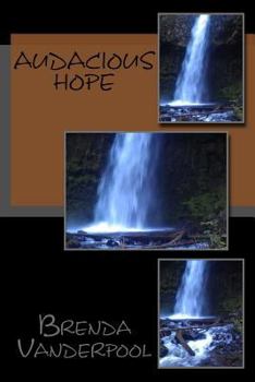 Paperback Audacious Hope Book
