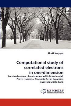 Paperback Computational study of correlated electrons in one-dimension Book