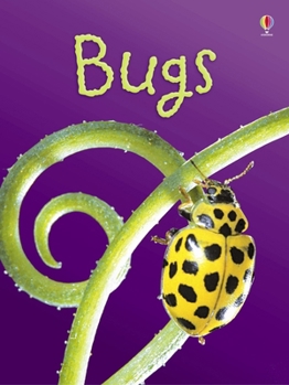 Hardcover Bugs - Usborne Beginners Book