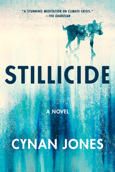 Paperback Stillicide Book