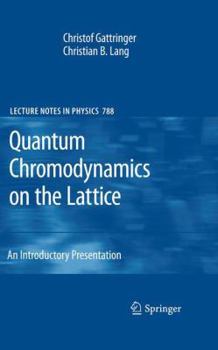 Paperback Quantum Chromodynamics on the Lattice: An Introductory Presentation Book