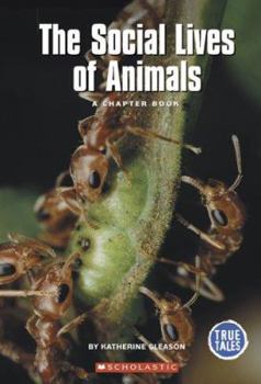 Paperback The Social Lives of Animals Book
