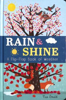 Board book Rain & Shine: A Flip-Flap Book of Weather (Flip-Flap Books) Book