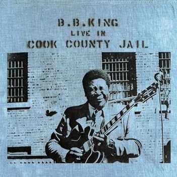 Vinyl Live In Cook County Jail (LP) Book