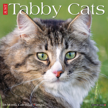 Calendar Just Tabby Cats 2021 Wall Calendar Book