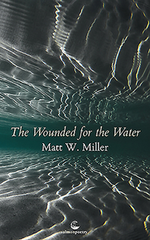 Paperback The Wounded for the Water Book