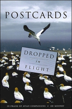 Paperback Postcards Dropped in Flight: In Praise of Avian Companions Book