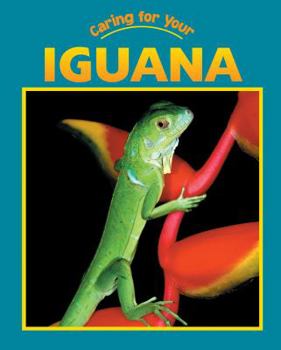 Library Binding Caring for Your Iguana Book