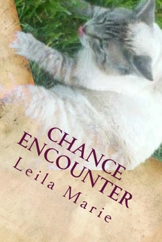 Paperback Chance Encounter: The Journey Emerald's Travels Book