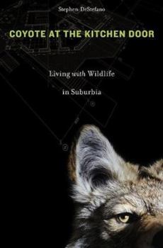 Hardcover Coyote at the Kitchen Door: Living with Wildlife in Suburbia Book