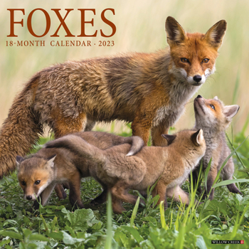 Calendar Foxes 2023 Wall Calendar Book