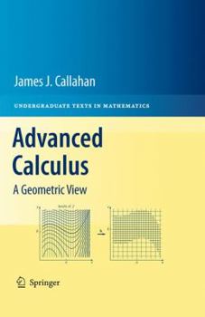 Hardcover Advanced Calculus: A Geometric View Book