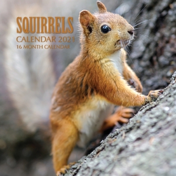 Paperback Squirrels Calendar 2021: 16 Month Calendar Book
