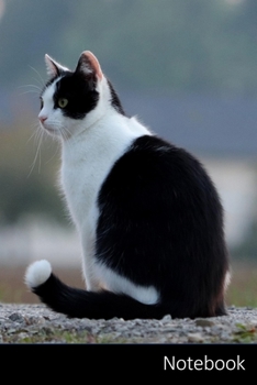 Notebook: Gatto, Animale Domestico, Ritratto, Ritratto Del Gatto taccuino / agenda / quaderno delle annotazioni / diario / libro di scrittura / carnet ... x 22,86 cm), 150 pagine, superficie lucida.