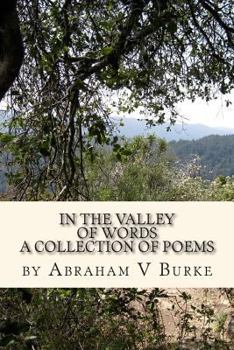 Paperback In The Valley Of Words Book