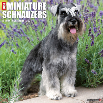 Calendar Just Miniature Schnauzers 2021 Wall Calendar (Dog Breed Calendar) Book