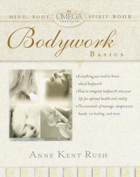 Paperback Bodywork Basics Book