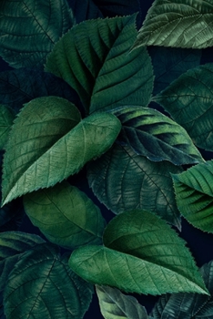 Journal: Tropical Green Leaves