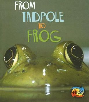 Library Binding From Tadpole to Frog: [nyc Schools] Book