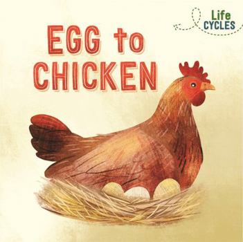 Paperback Egg to Chicken (Life Cycles) Book