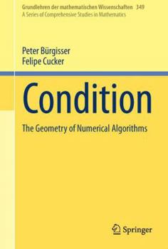 Hardcover Condition: The Geometry of Numerical Algorithms Book