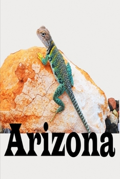 My Adventures to Arizona Travel Journal: Lizard Gecko Desert Theme 6X9 Composition Notebook with 120 Blank Lined Pages