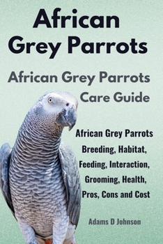 AFRICAN GREY PARROT