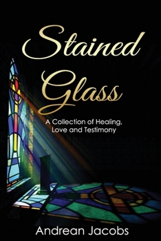 Paperback Stained Glass Book