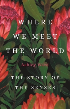 Hardcover Where We Meet the World: The Story of the Senses Book